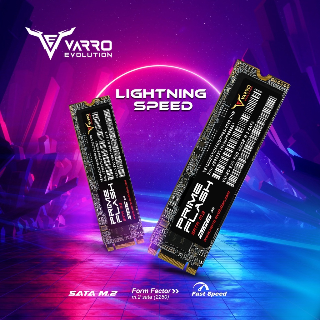 SSD VARRO EVOLUTION M2 PRIME 256GB