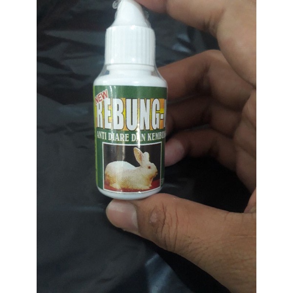 rebung k obat diare dan kembung