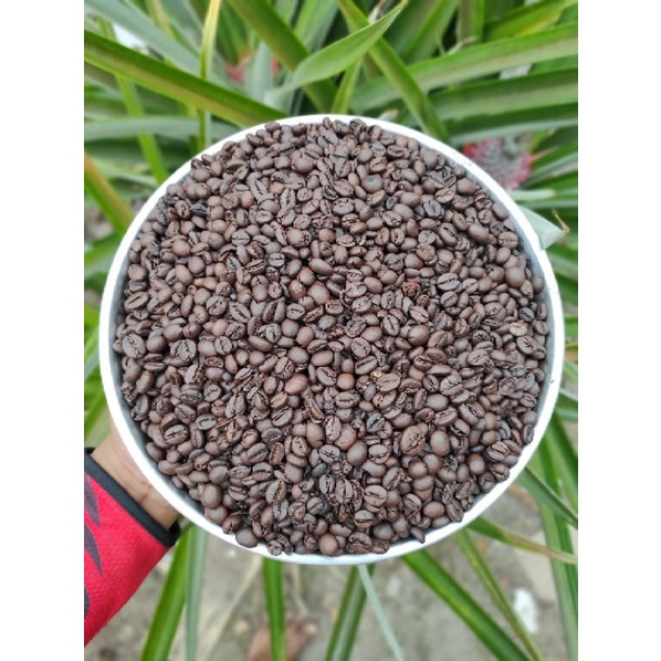 

Roastbean Robusta ABGCoffee 250 (NATURAL PROCESS) PREMIUM