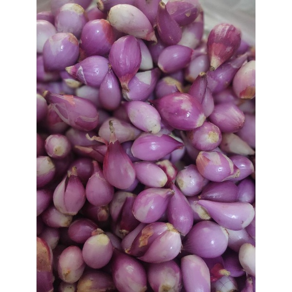 

bawang merah Brebes kupas