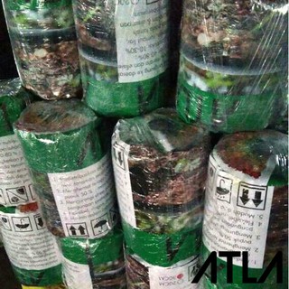 Selang Drip Tape Diameter 16mm Pipa Tetes  Irrigation Jarak 