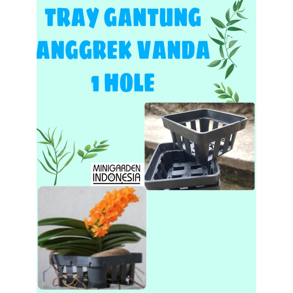 POT GANTUNG TRAY SEMAI ANGGREK VANDA 1 HOLES netpot kotak persegi 10 cm 1 lubang pot bibit benih
