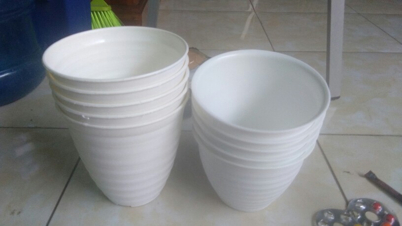 Pot Tawon /pot Nanas 17