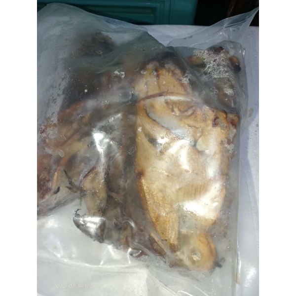 

ikan kepala manyung