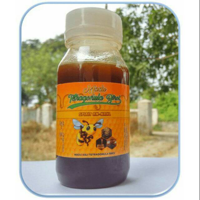 

Madu Trigona atau Madu Klanceng 200 gram