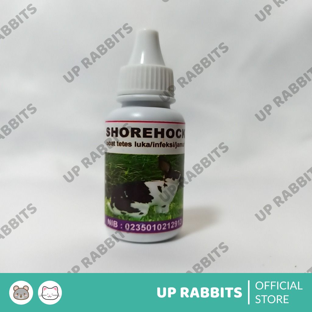 Obat luka obat koreng kaki kelinci shorhock ampuh