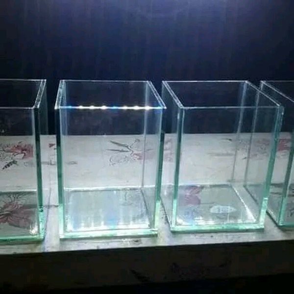 Mini Aquarium Aquascape Khusus Ikan Hias Kecil 10x10x15 Cm