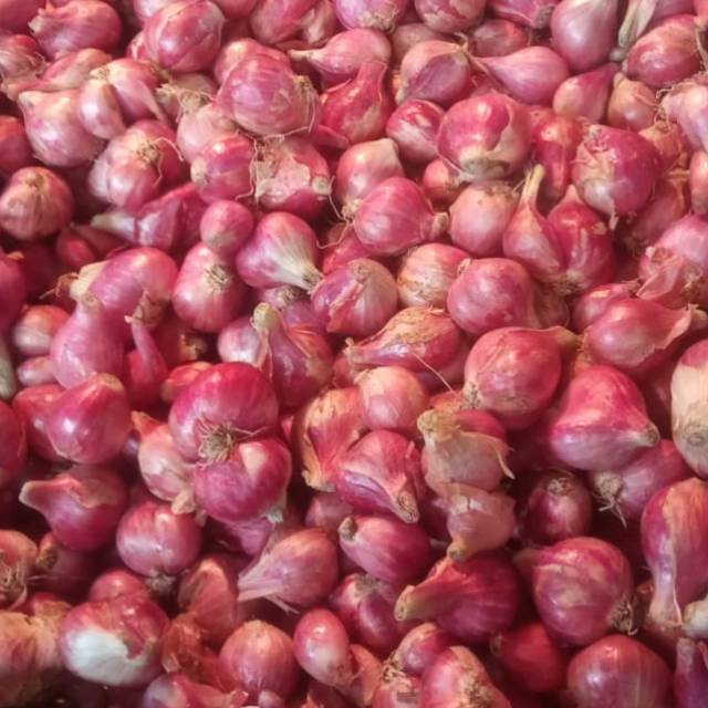 

Bawang Merah brebes