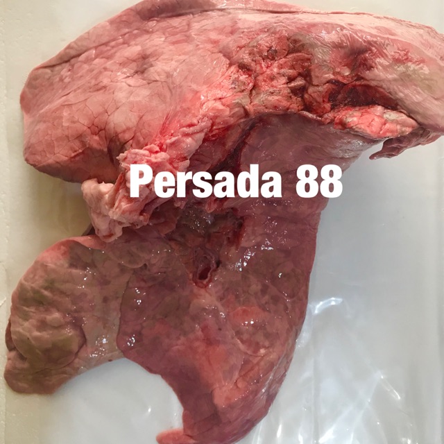 

Paru sapi @ 1kg