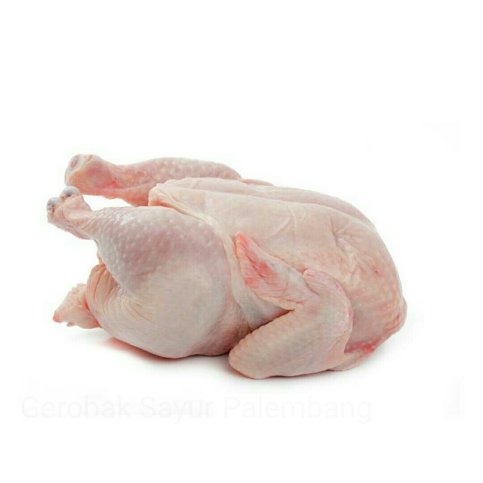 

Ayam Potong Fresh 1Kg Pasar Murah Bandung