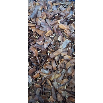 

Mahoni biji 500gr