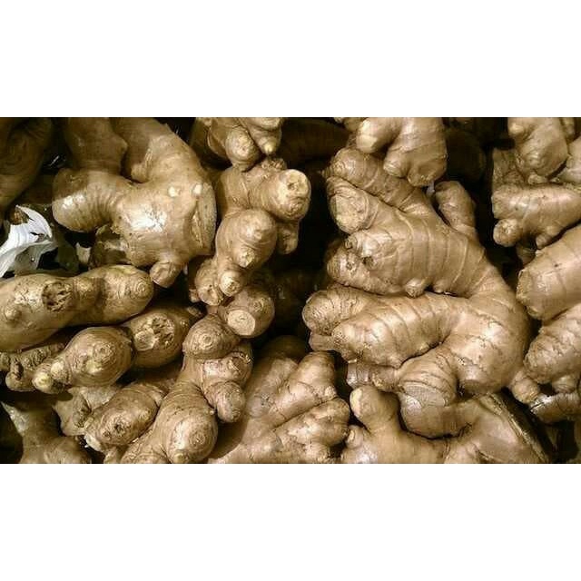 

b01n1nh Jahe Besar Segar 500 Grm - 500 Ds201Fs