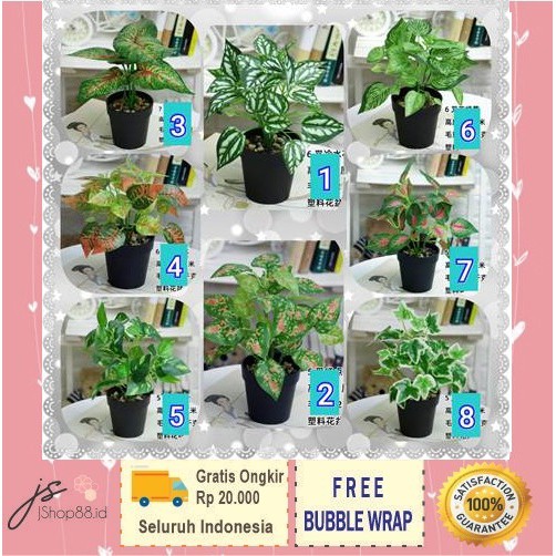 DAUN POT HITAM TANAMAN ARTIFISIAL / DAUN DAN POT PLASTIK /TANAMAN BONSAI