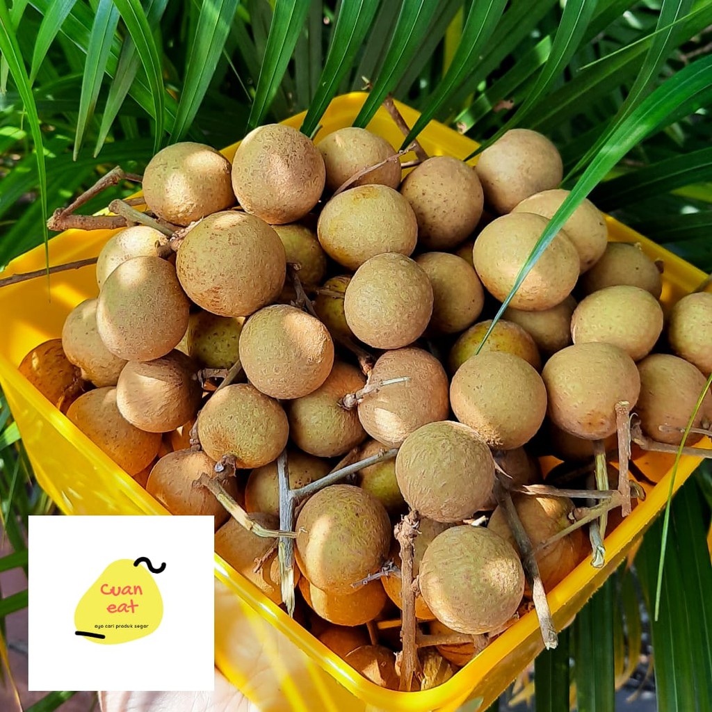 

BUAH KELENGKENG