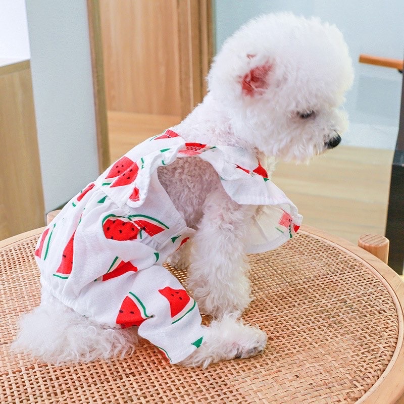 Korea watermelon ruffle jumper