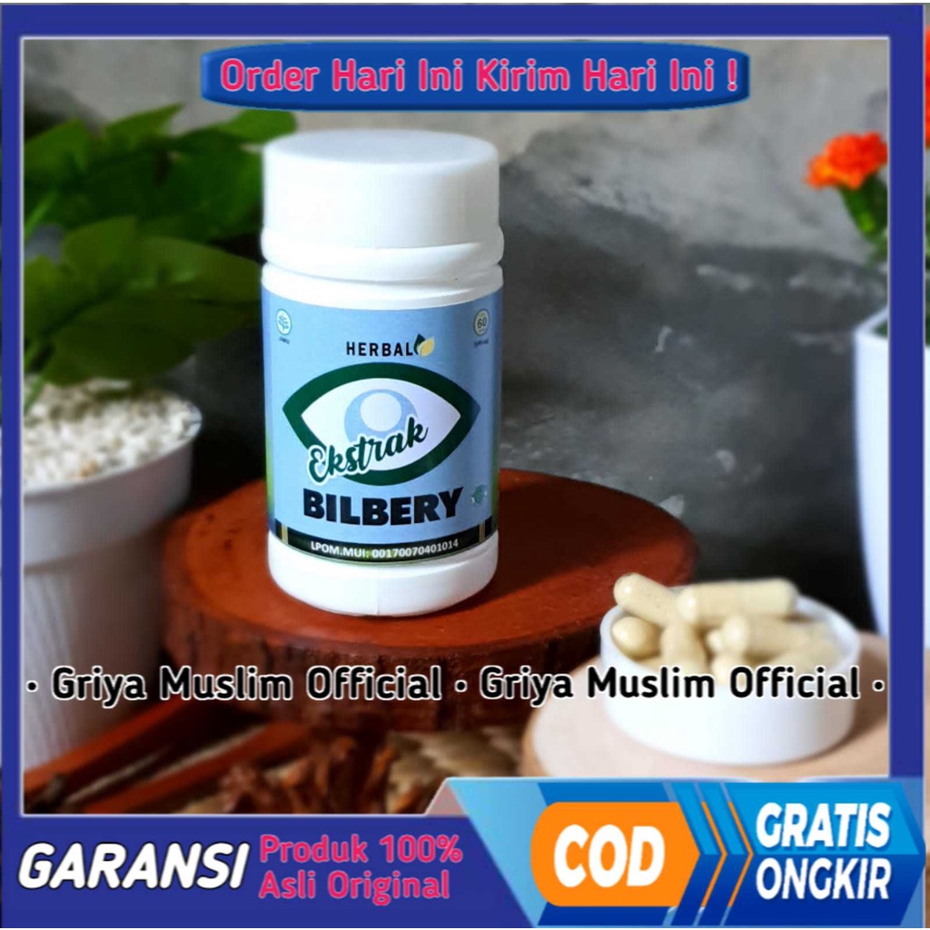 

Bilberry Extract Kapsul Herbal Alami Mengobati Mata Minus - Anti Rabun 60 kapsul