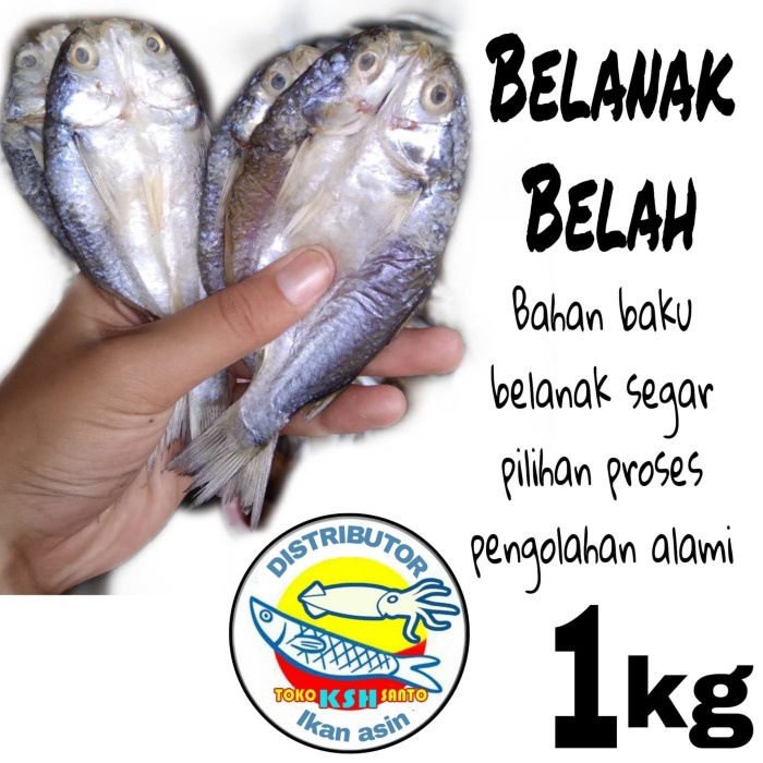 

ikan asin belanak belah 1kg