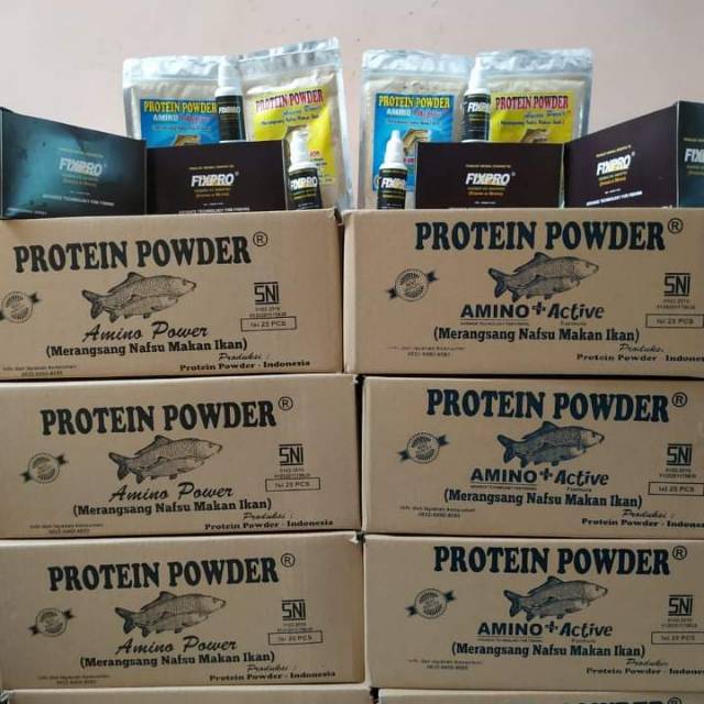 protein powder