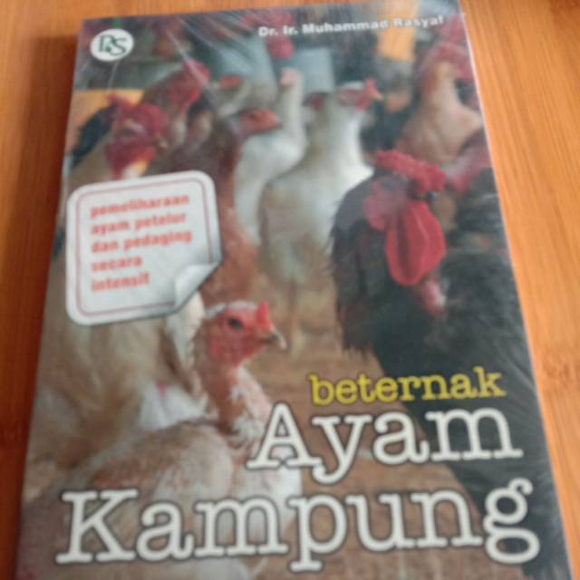Beternak AYAM KAMPUNG