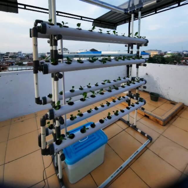 HIDROPONIK SET 100 LUBANG TANAM