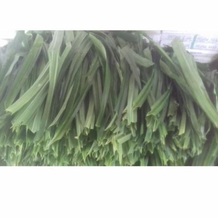 

Model baru - Endapan pandan murni