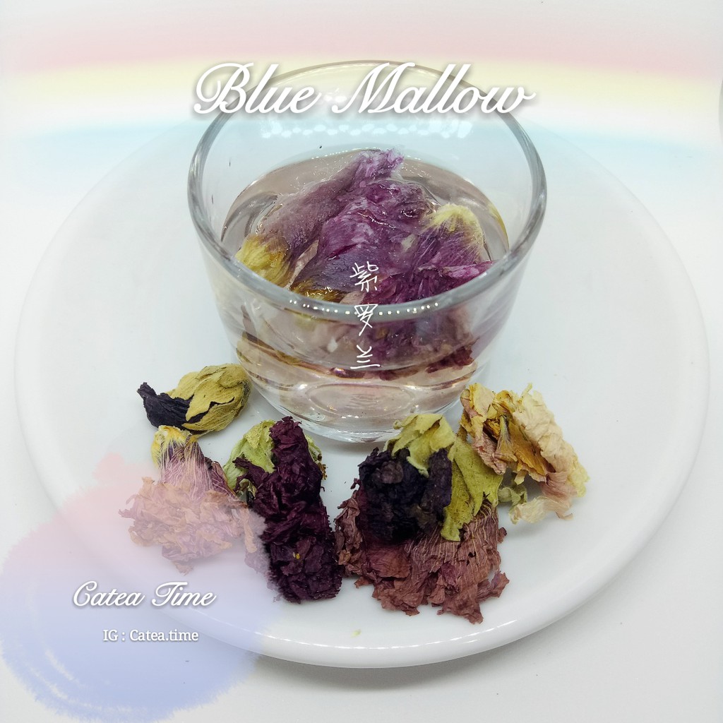 

Blue Mallow Flowers Tea