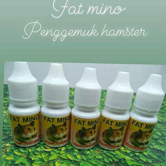 Fatmino vitamin penggemuk hamster