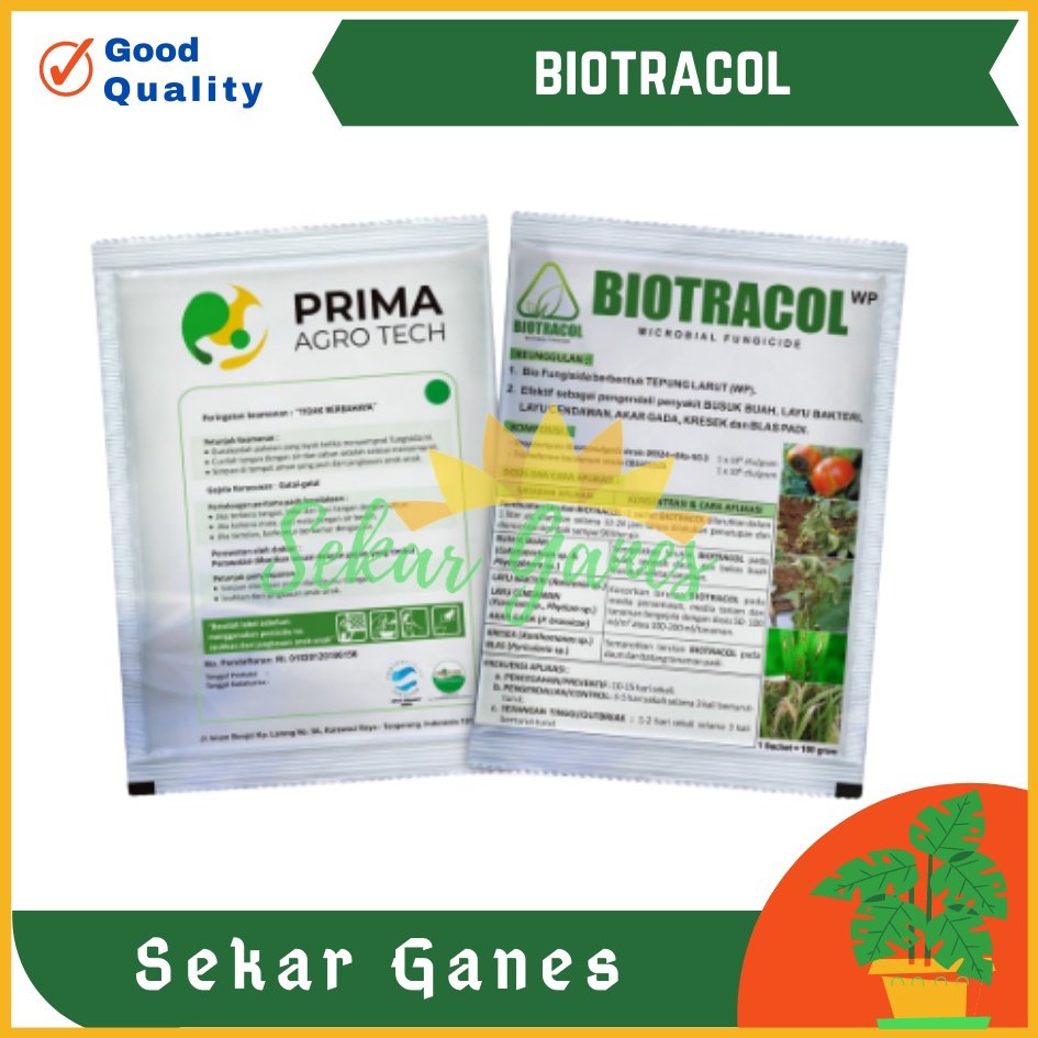 Biotracol Biofungisida Pestisida Organik - Pengendali Busuk Buah Biotracol Pupuk Mencegah Penyakit