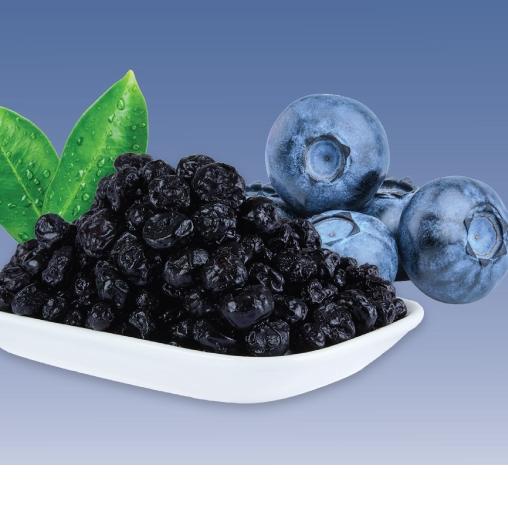 

COD✔️Dried Blueberry 100gr Kemasan Plastik|SQ5