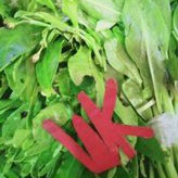 

Daun Gingseng
