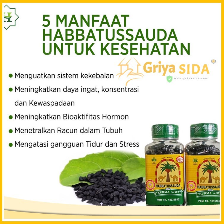 Habbatussauda kurma ajwa 210 Kapsul super jintan hitam black seed habbatusauda harga grosir