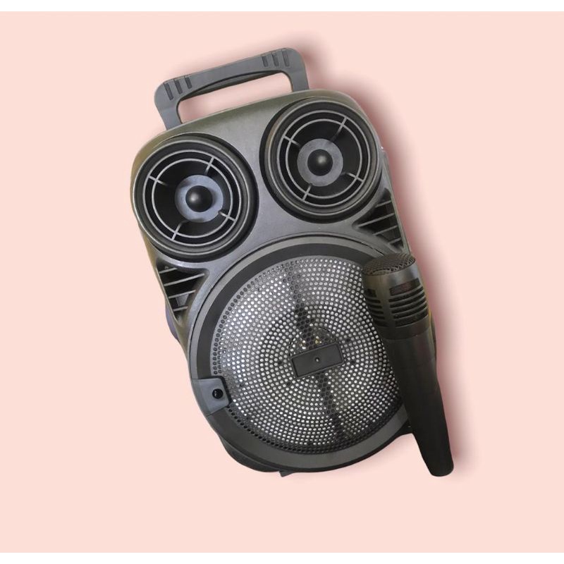 portable wireless speaker