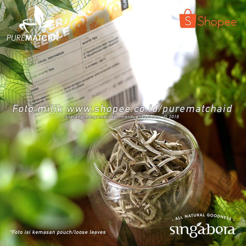 

Singabera White Tea - Singabera Silver Needle 10gr Sample Teh Putih Indonesian Tea
