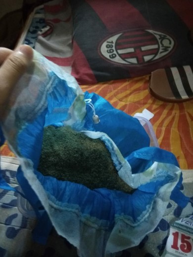 1kgtelur Jangkrik Alam
