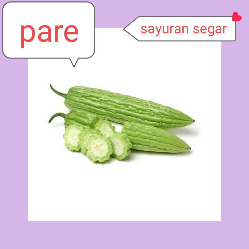 

PARE SEGAR