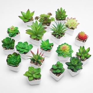 KAKTUS SUKULEN Tanaman Kaktus Palsu Imitasi Plastik Mini Artificial Hiasan Dekorasi Rumah