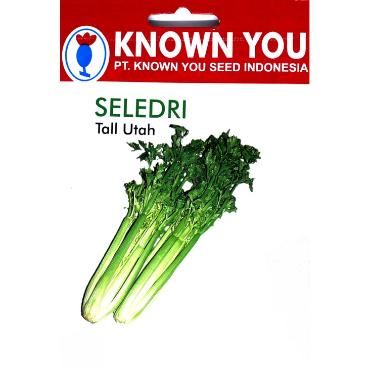 Benih Bibit Seledri Tall Utah (1,5 gr) - Known You Seed Berkualitas - Banuata
