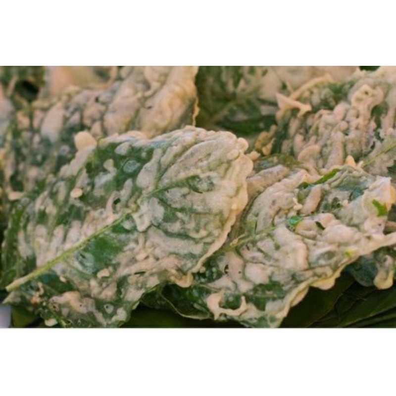 

camilan peyek bayem enak by Mama Fitato