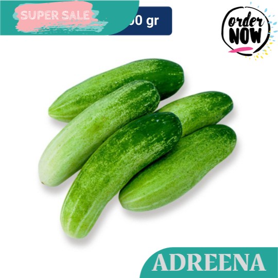 

Timun Lokal 500 gr Adreena Freshbox