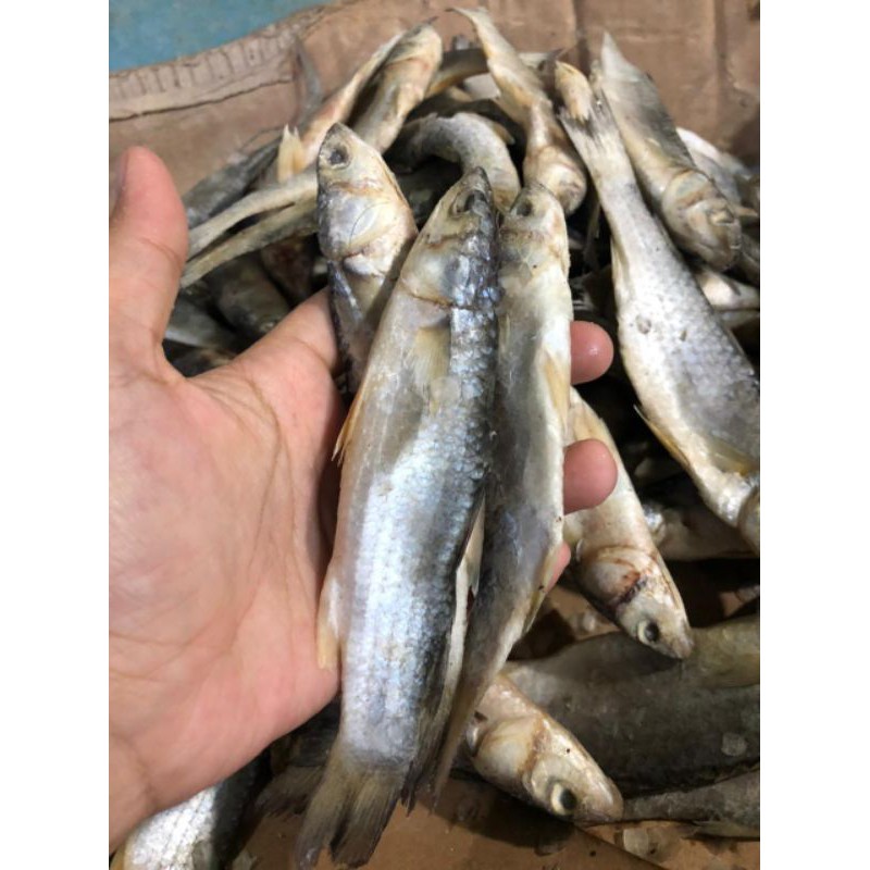 

IKAN ASIN PADET/DREJET SIZE MEDIUM KUALITAS SUPER 500GR