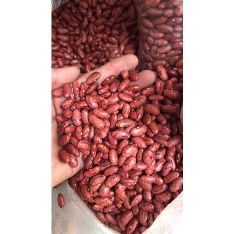 

kacang es merah