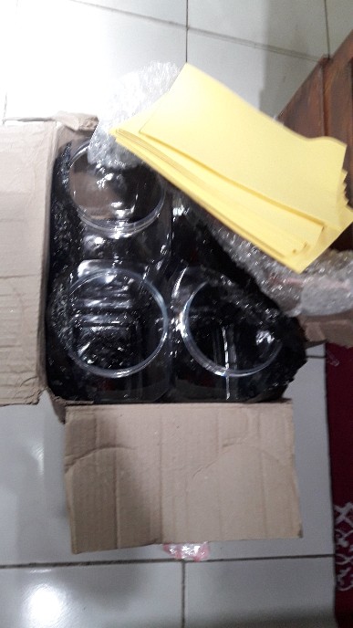 Toples Cupang 4 Liter (4000 Ml) Tanpa Tutup