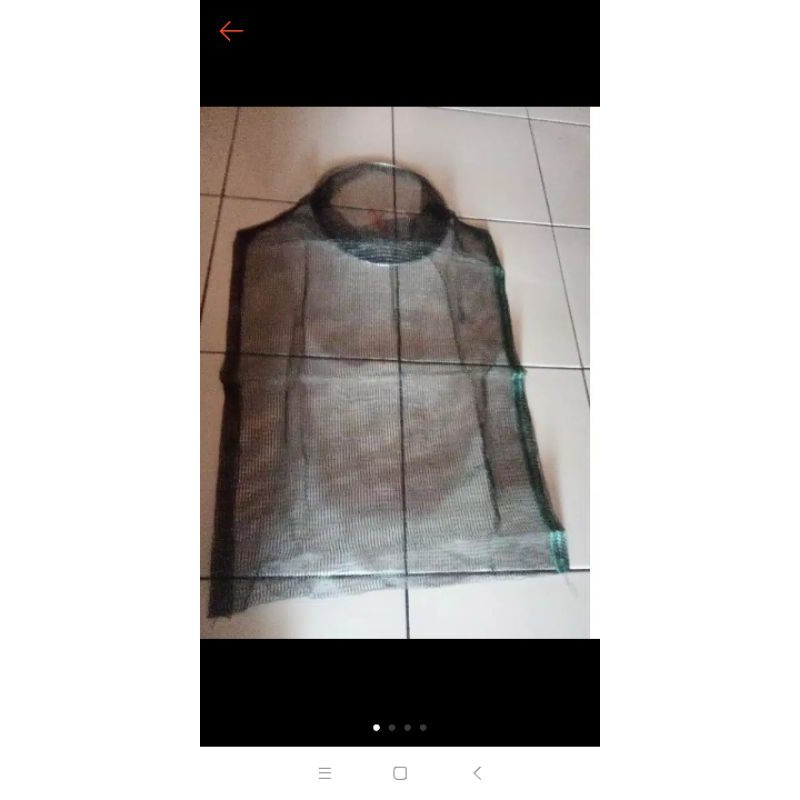 tempat ikan kempis dan koja 60×45