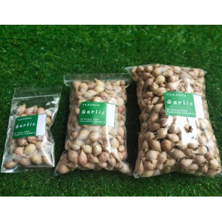 

TERBUKTI MANJUR BAWANG PUTIH TUNGGAL / BAWANG LANANG 500 GRAM