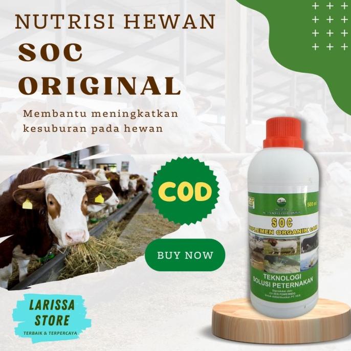 Soc Hcs Obat Hewan Vitamin Hewan Ternak Obat Penggemukan Ternak