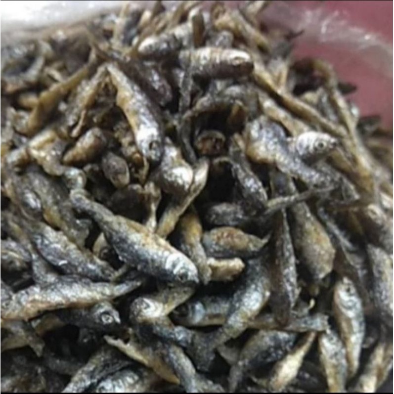 

ikan danau bilis 1 kg