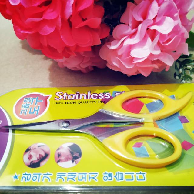 Gunting stainless steel kecil