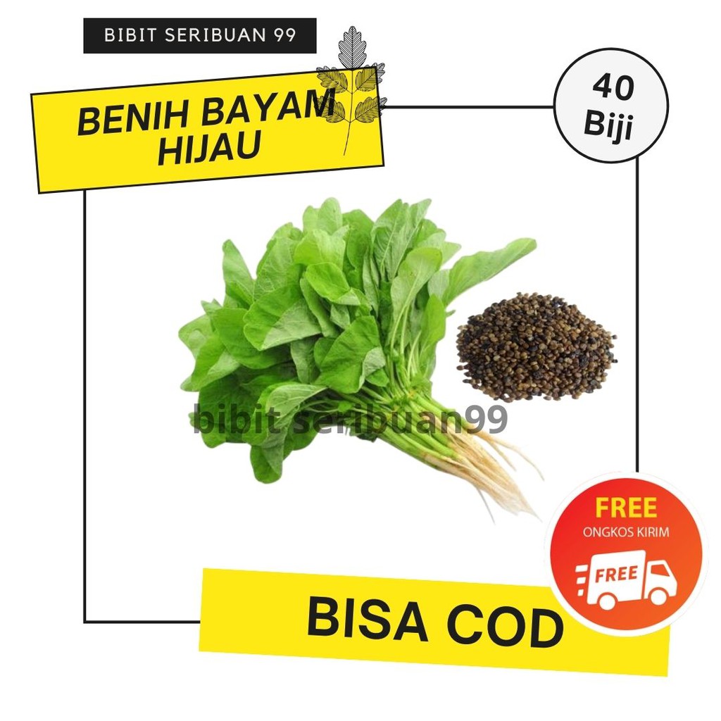 Benih Bayam Hijau Bibit Sayur Bayam