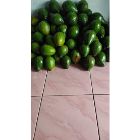 

alpukat mentega