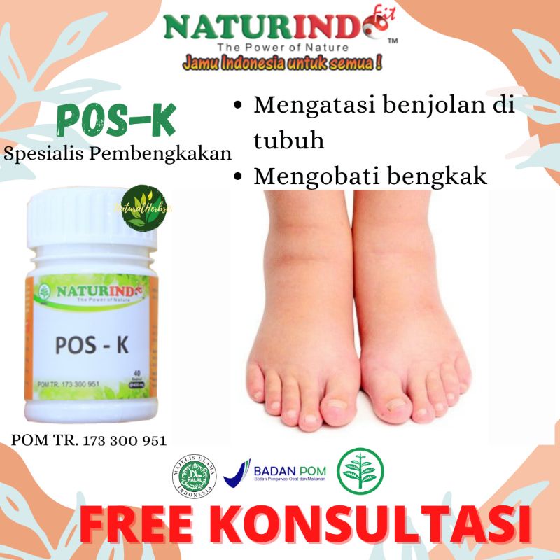 Naturindo Pos-K